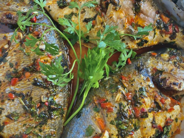 Gilthead seabream in chimichurri sauce mixture