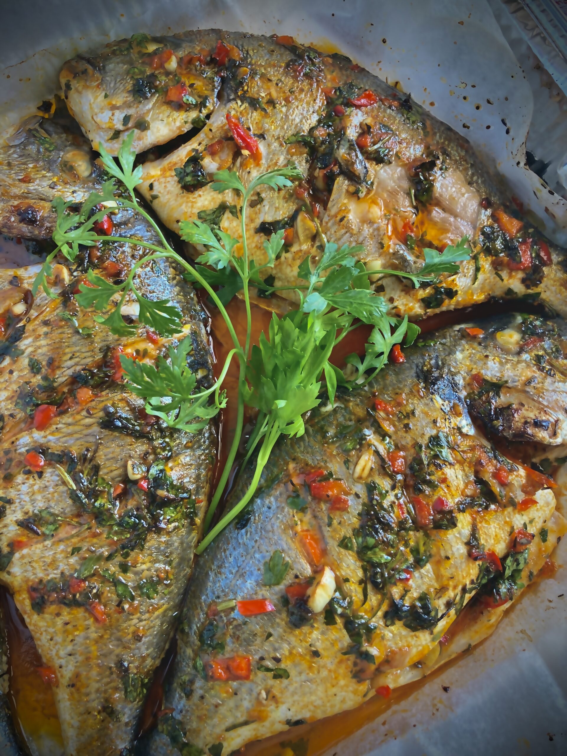 Gilthead seabream in chimichurri sauce mixture