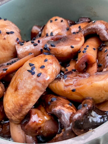 Teriyaki Sauce Sauteed Mushrooms Symphony