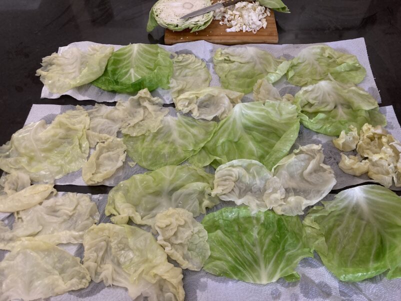 12 parboiled large cabbage leaves, lying on paper towel to absorb excess water