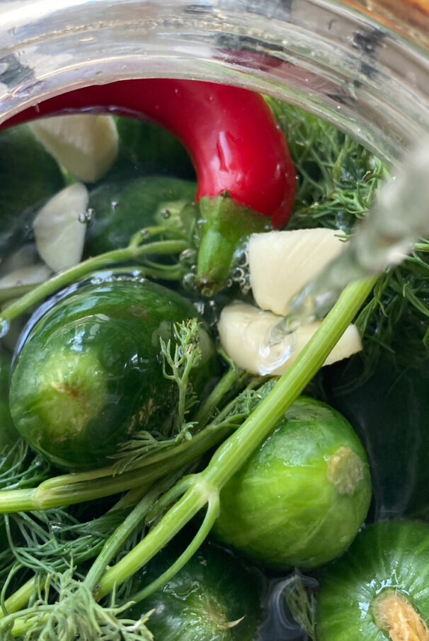pouring water into jar to make pickles