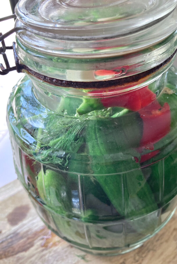 cucumbers in jar with dill, garlic and chili pepper