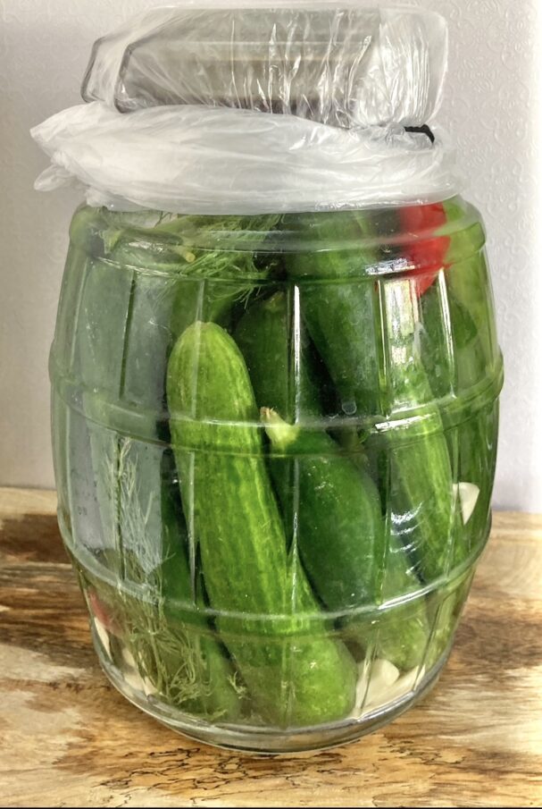 sealed jar of cucumbers for pickles